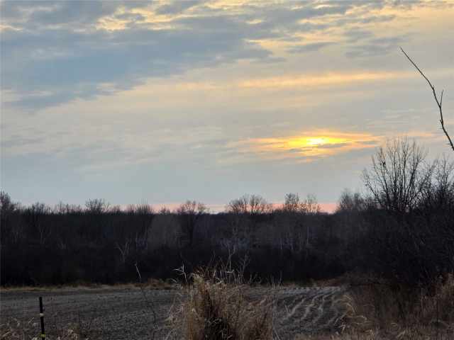 Holcombe Land Real Estate