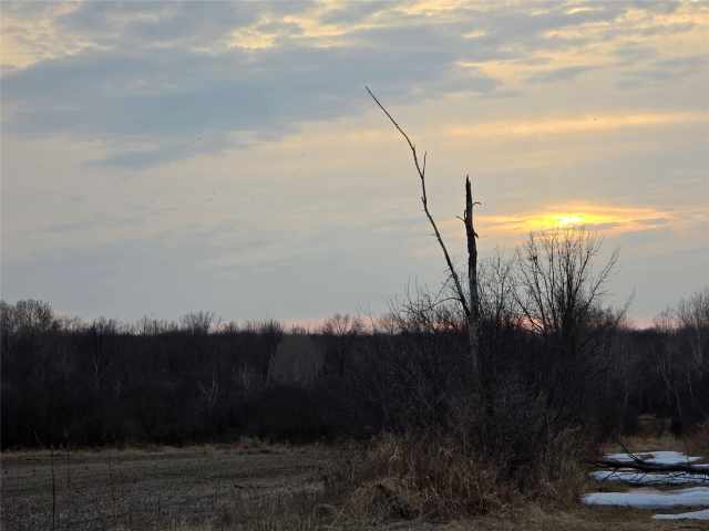 Holcombe Land Real Estate