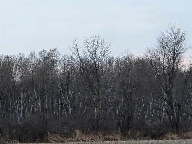 Holcombe Land Real Estate