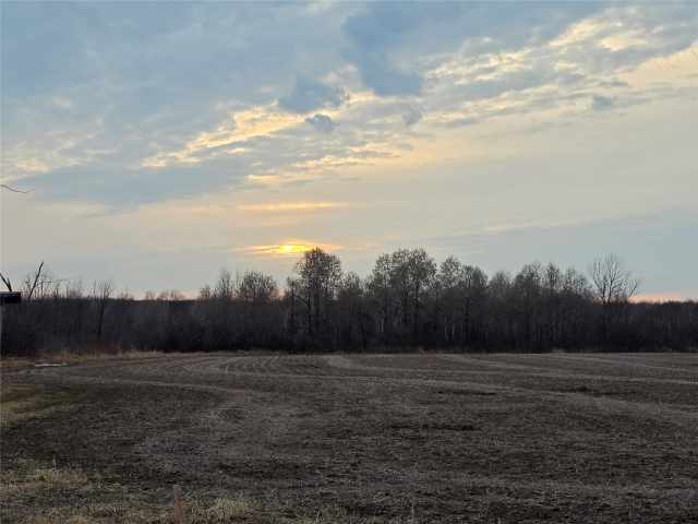 Holcombe Land Real Estate