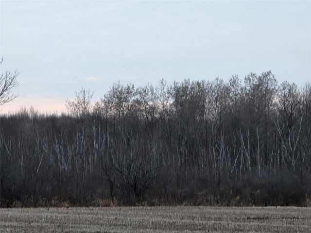 Holcombe Land Real Estate