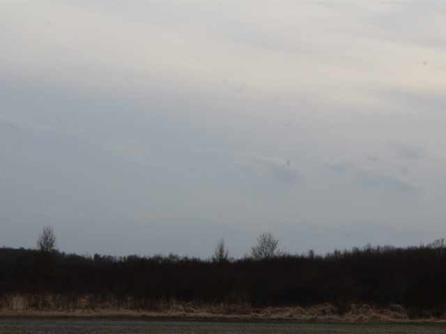 Holcombe Land Real Estate