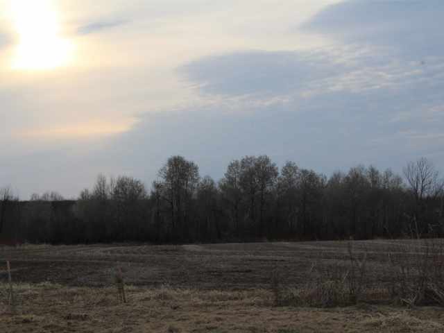 Holcombe Land Real Estate