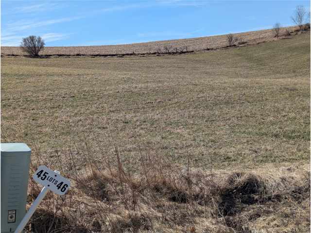 Mondovi Land Real Estate