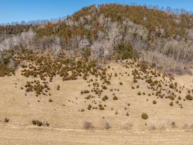 Fountain City Land Real Estate