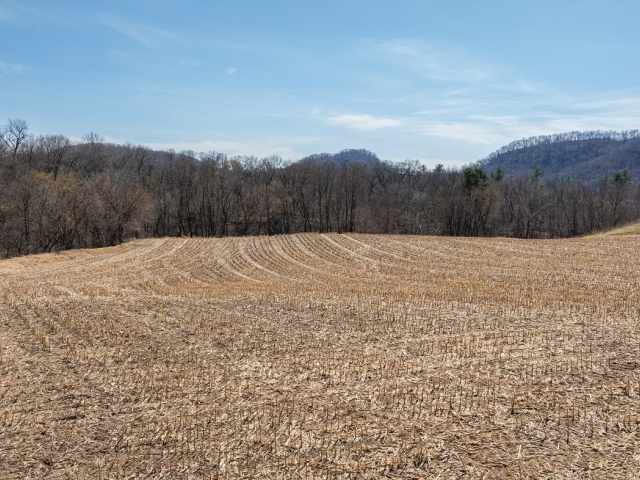 Fountain City Land Real Estate