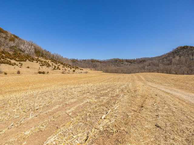 Fountain City Land Real Estate