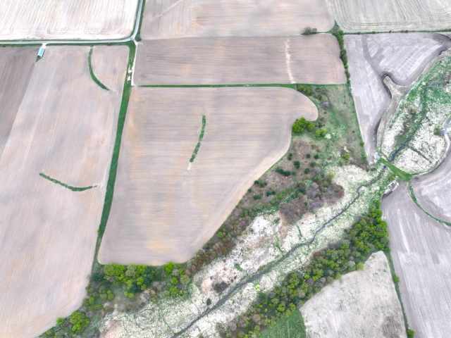 Hixton Land Real Estate