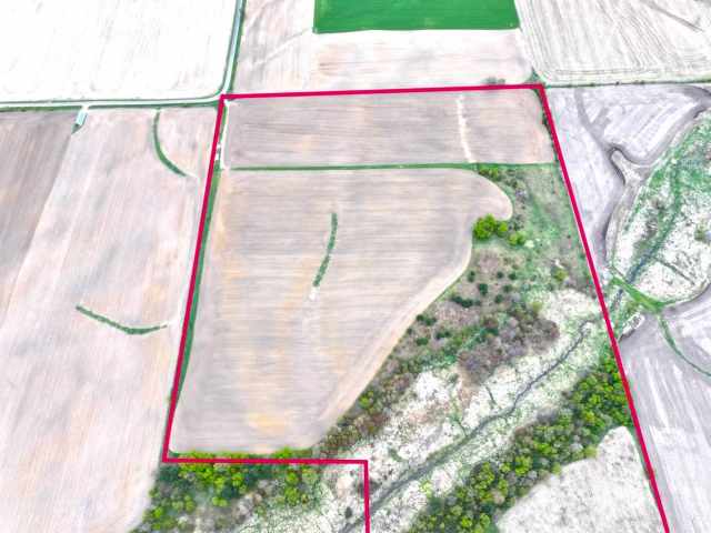 Hixton Land Real Estate