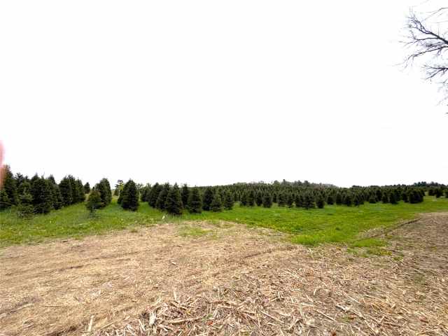 Hixton Land Real Estate