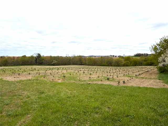 Hixton Land Real Estate