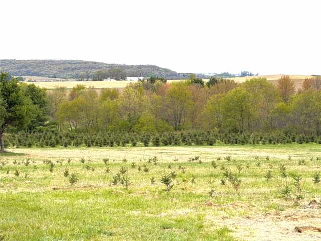 Hixton Land Real Estate