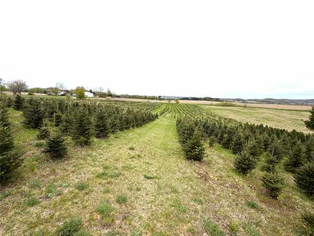 Hixton Land Real Estate