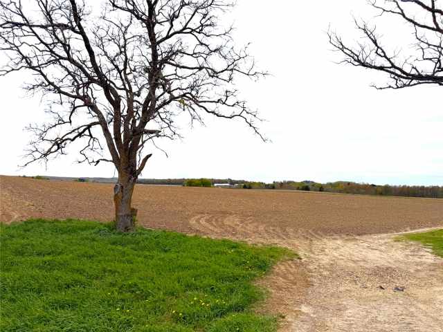 Hixton Land Real Estate