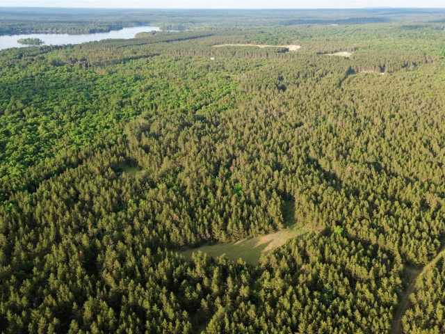 Augusta Land Real Estate