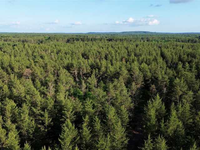 Augusta Land Real Estate