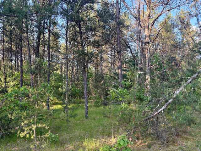 Augusta Land Real Estate