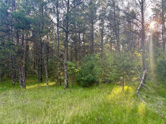 Augusta Land Real Estate