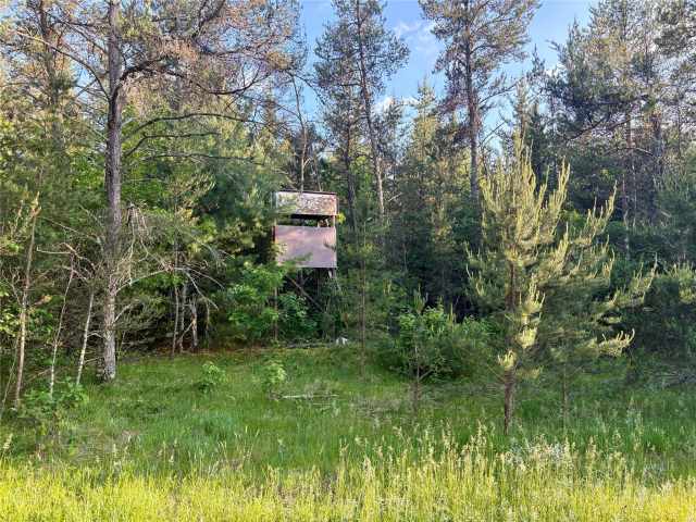 Augusta Land Real Estate
