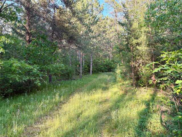 Augusta Land Real Estate