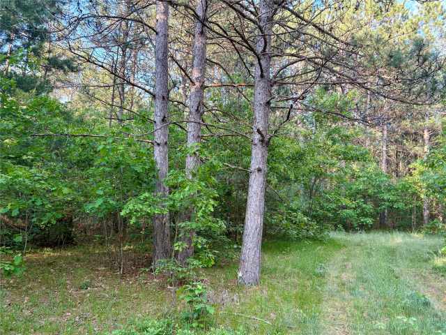 Augusta Land Real Estate