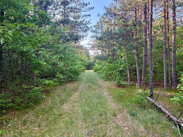 Augusta Land Real Estate