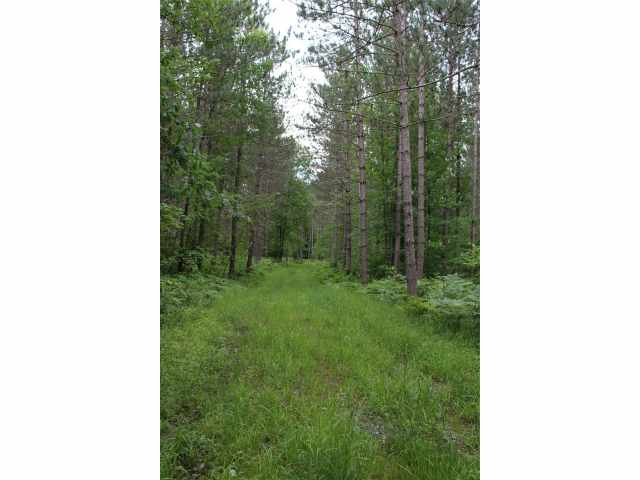Neillsville Land Real Estate