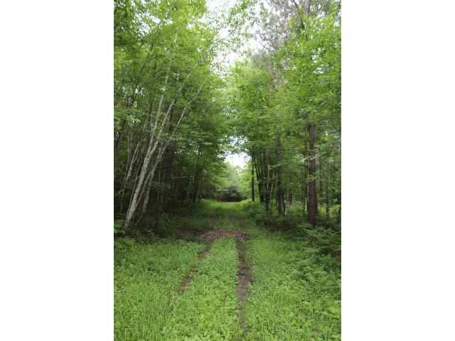 Neillsville Land Real Estate