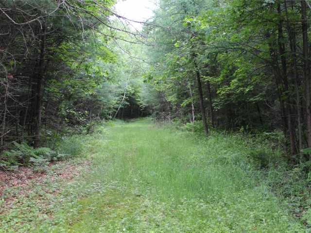 Neillsville Land Real Estate