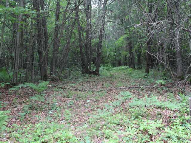 Neillsville Land Real Estate