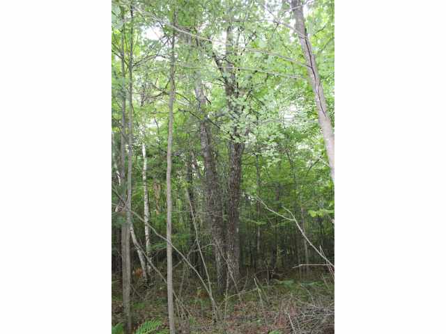 Neillsville Land Real Estate