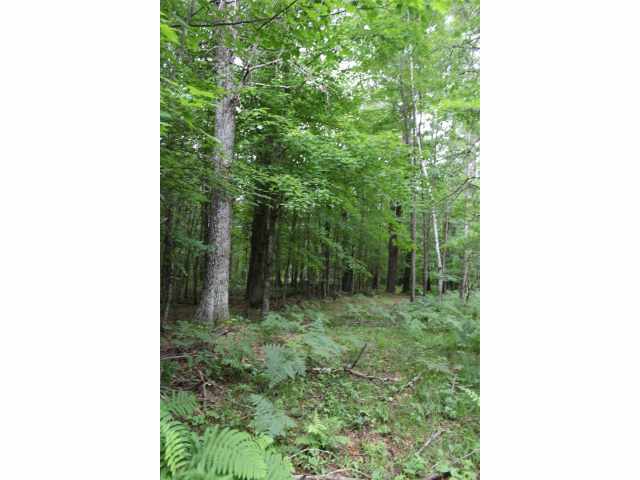 Neillsville Land Real Estate