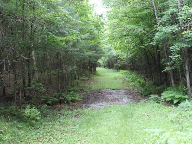 Neillsville Land Real Estate