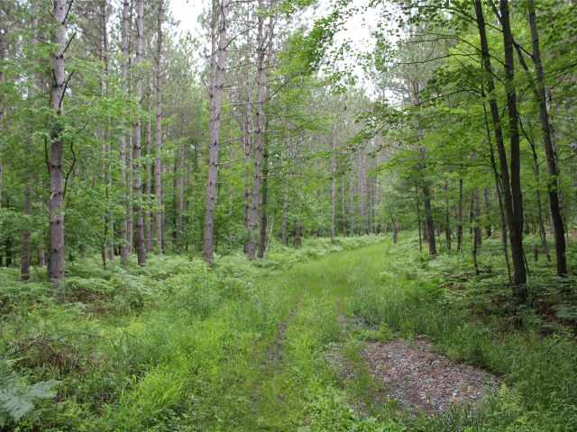 Neillsville Land Real Estate