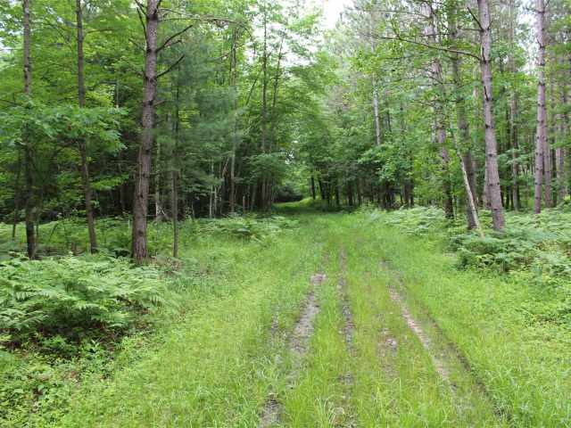 Neillsville Land Real Estate
