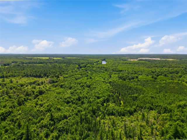 Neillsville Land Real Estate