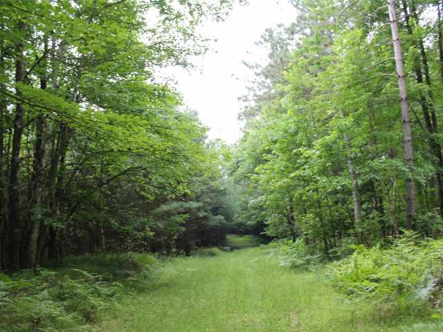 Neillsville Land Real Estate