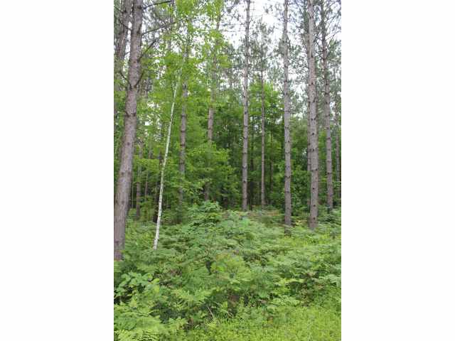 Neillsville Land Real Estate