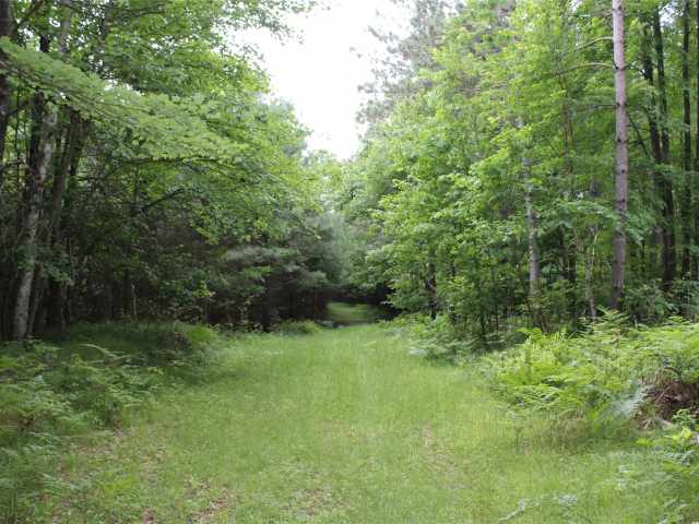 Neillsville Land Real Estate