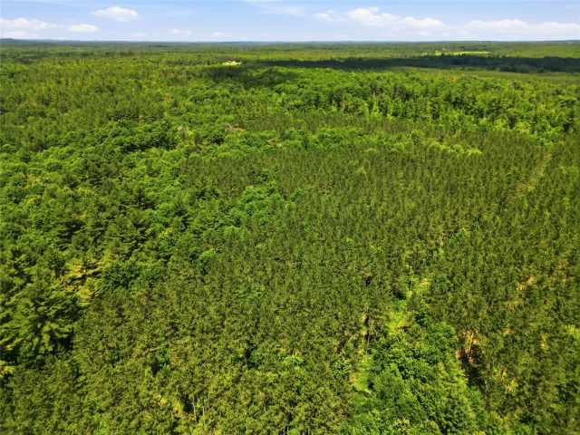 Neillsville Land Real Estate