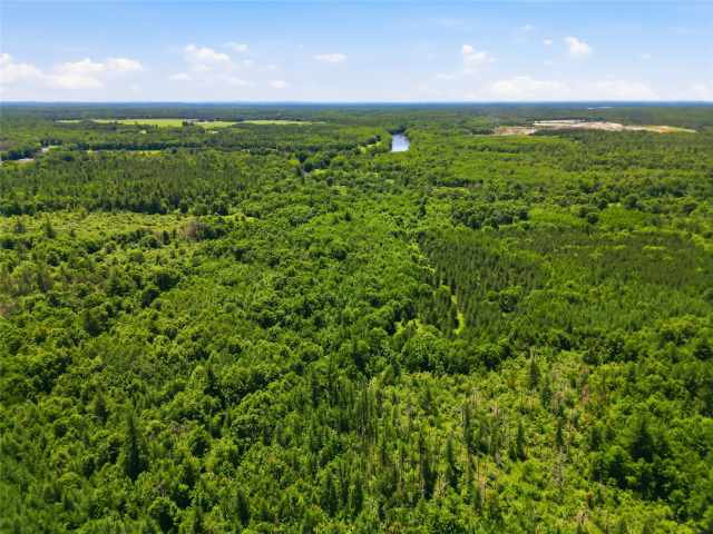 Neillsville Land Real Estate