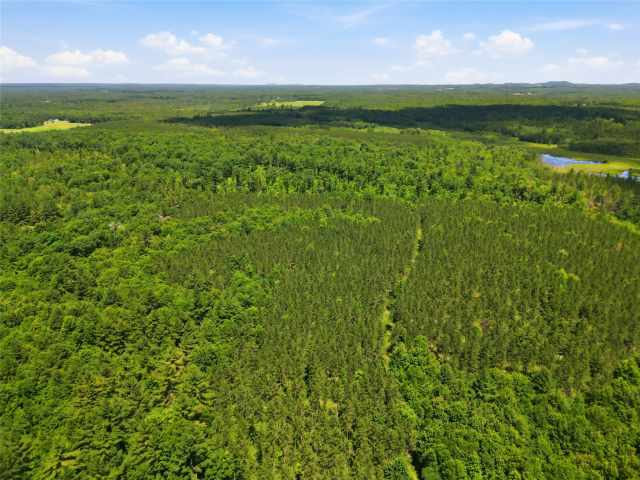 Neillsville Land Real Estate