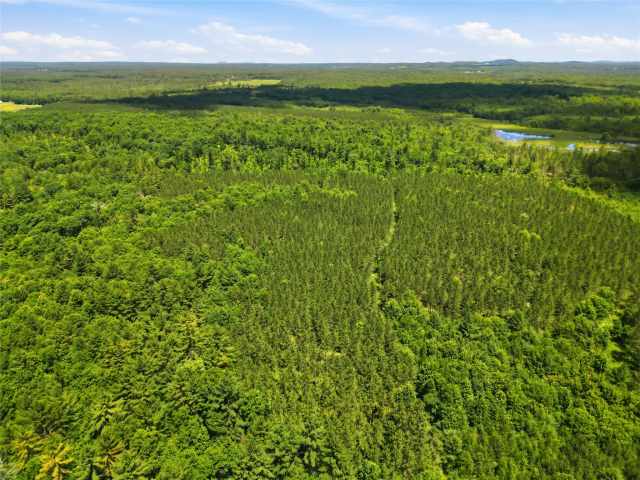 Neillsville Land Real Estate