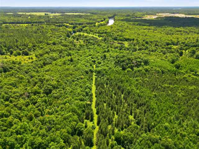 Neillsville Land Real Estate