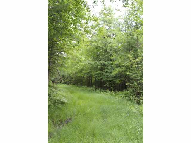 Neillsville Land Real Estate