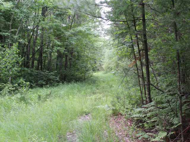 Neillsville Land Real Estate