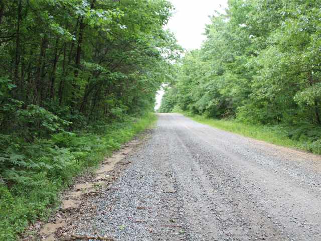 Neillsville Land Real Estate