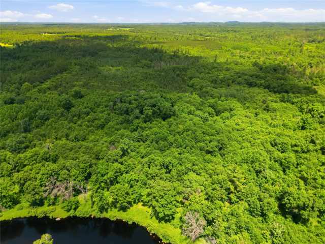 Neillsville Land Real Estate
