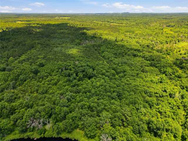 Neillsville Land Real Estate