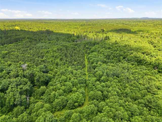 Neillsville Land Real Estate